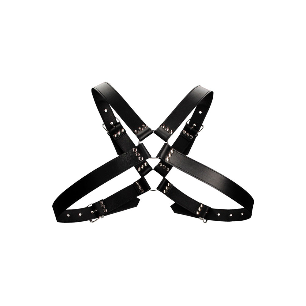 Leather Harness with Large Buckle One Size